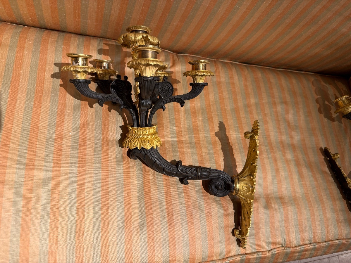 Pair Of Charles X Sconces-photo-5