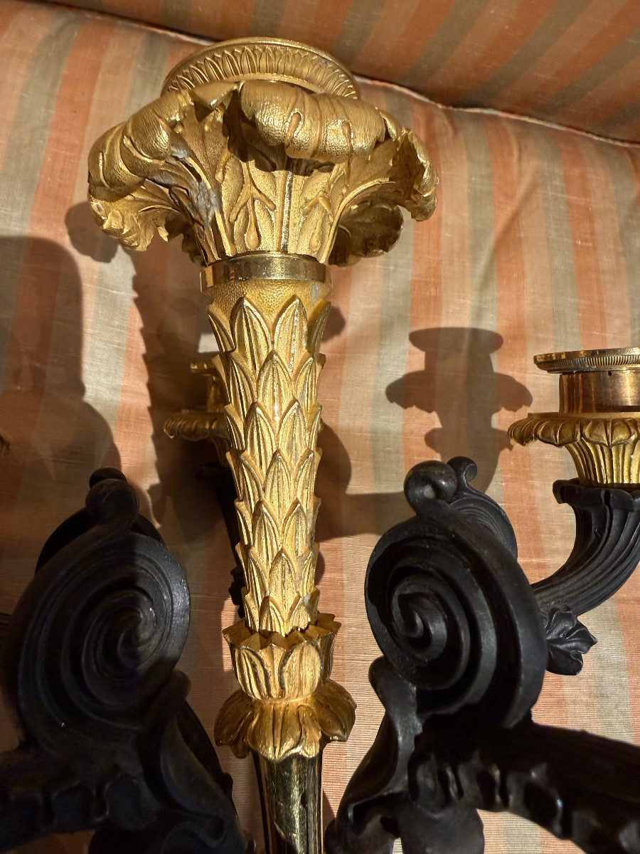 Pair Of Charles X Sconces-photo-8