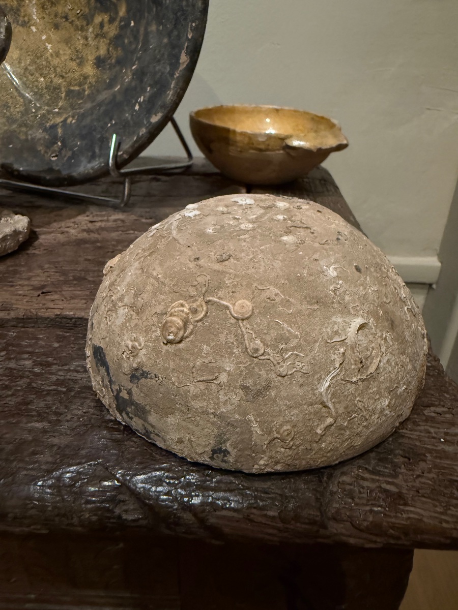 Ceramics From A Shipwreck-photo-4