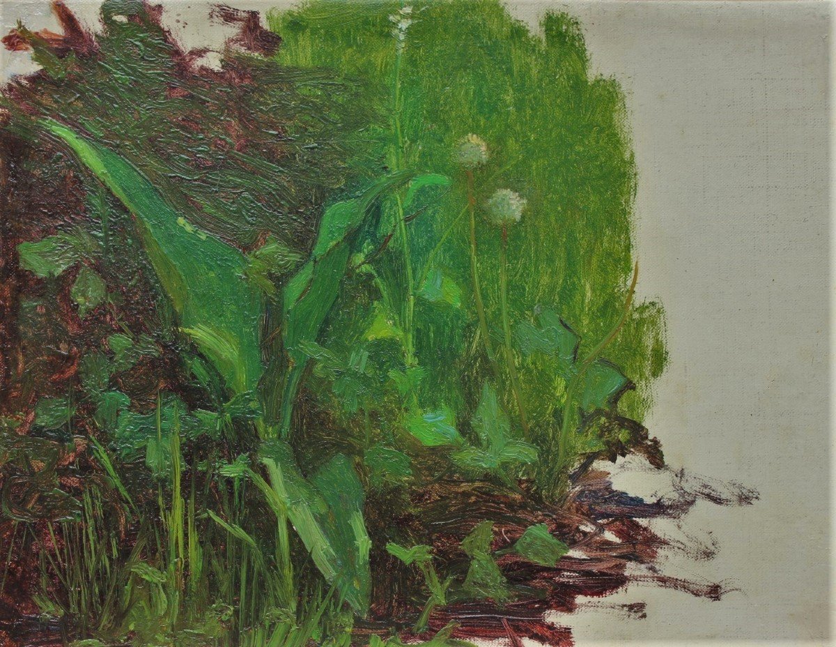 Raymond Thibesart (1874-1968). Vegetation Study