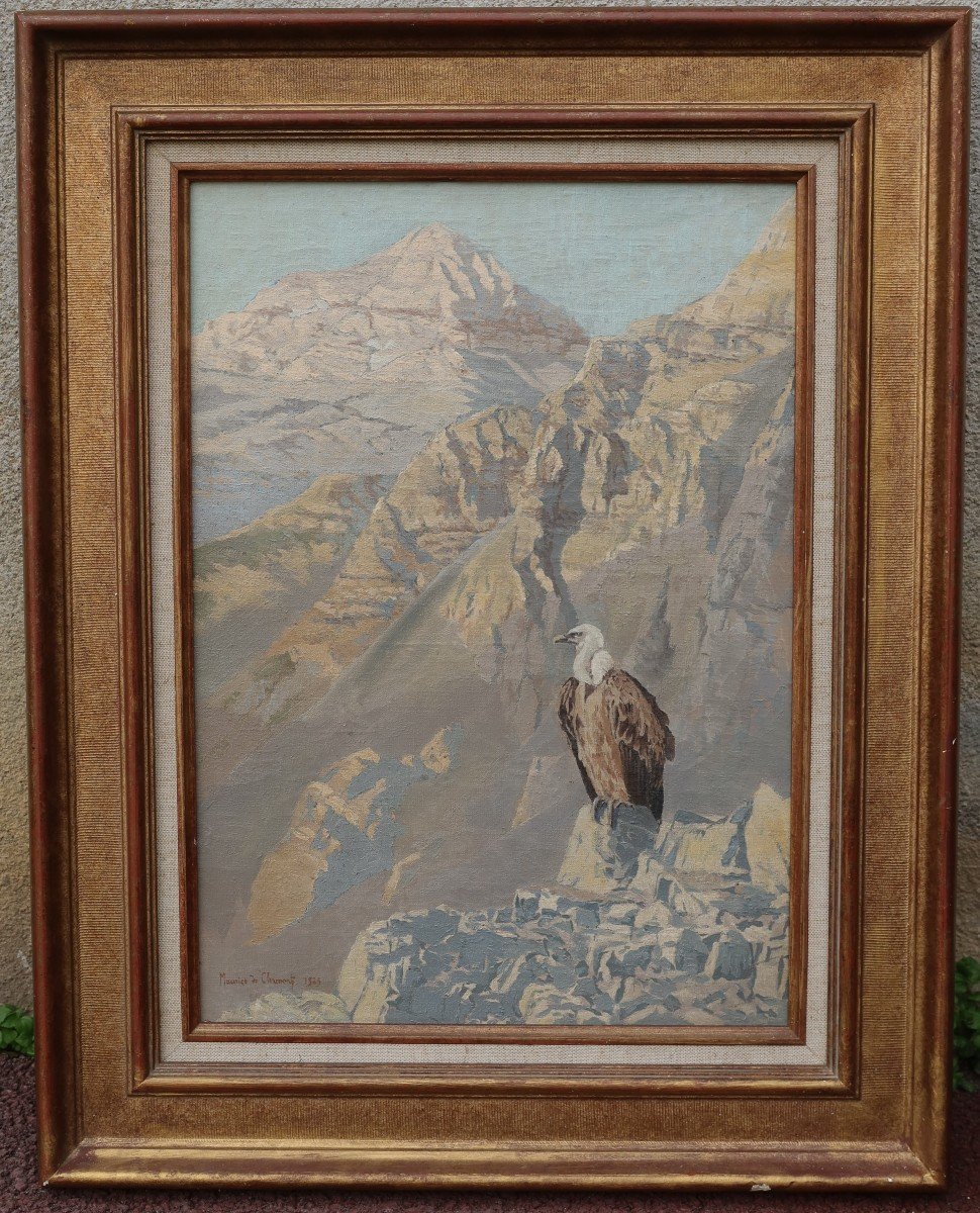 Vulture In The Atlas, Morocco - M. De Clermont 20th-photo-8