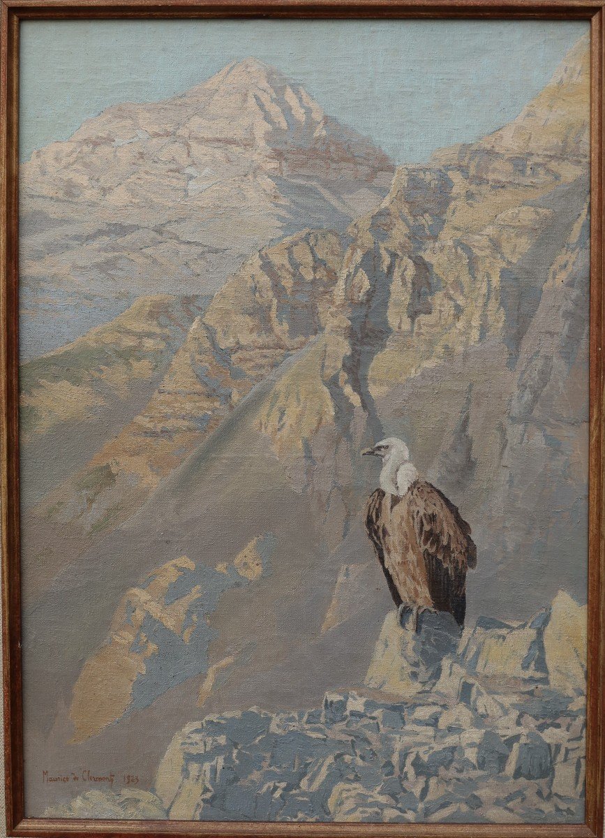 Vulture In The Atlas, Morocco - M. De Clermont 20th
