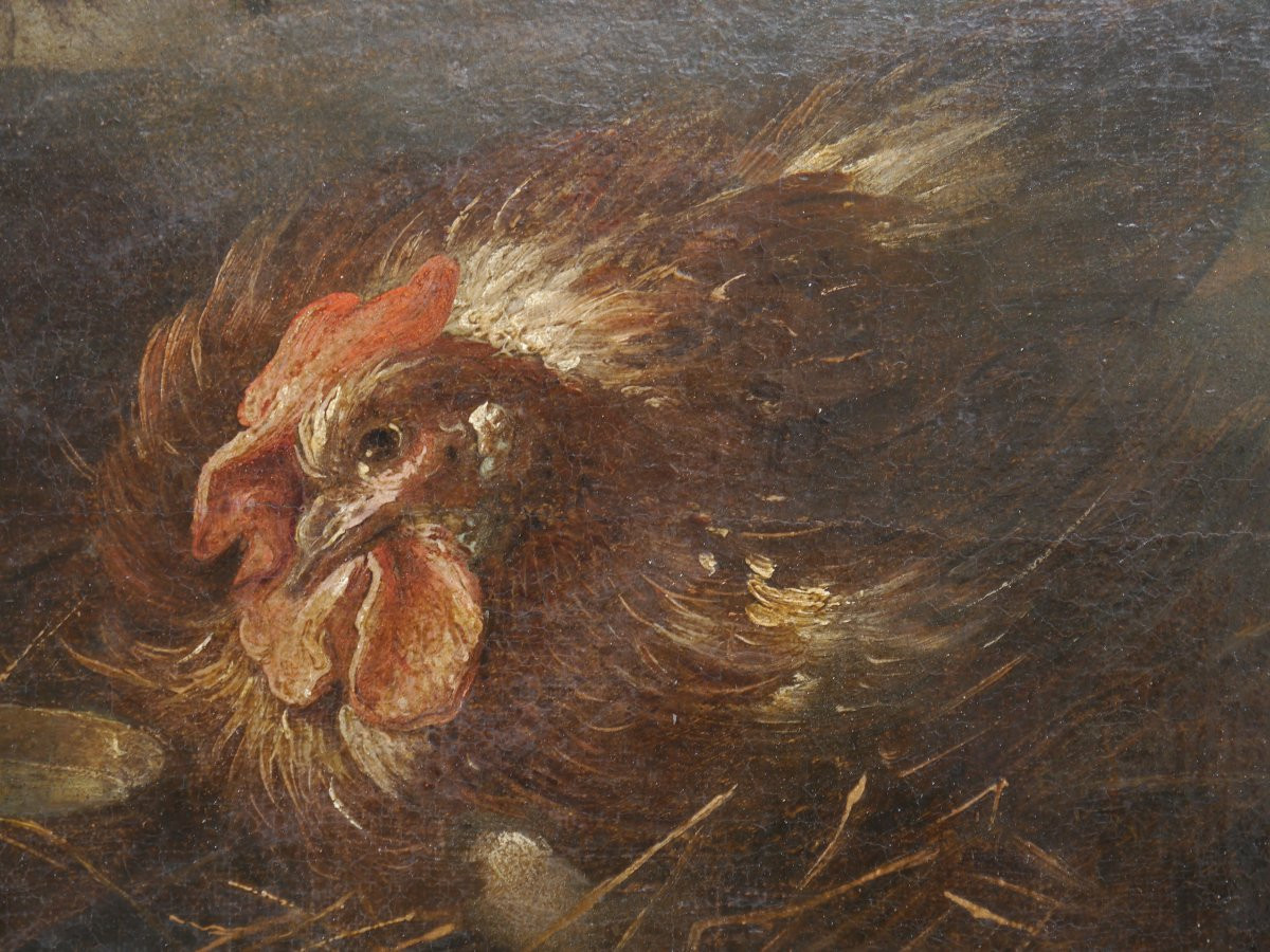 Hen And Bird Against A Landscape Background. Flemish Or Italian School, 17th Century.-photo-4