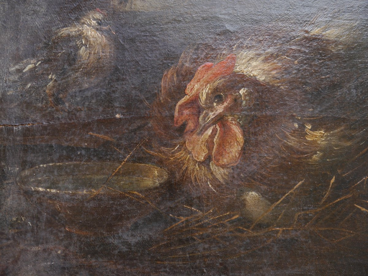 Hen And Bird Against A Landscape Background. Flemish Or Italian School, 17th Century.-photo-6