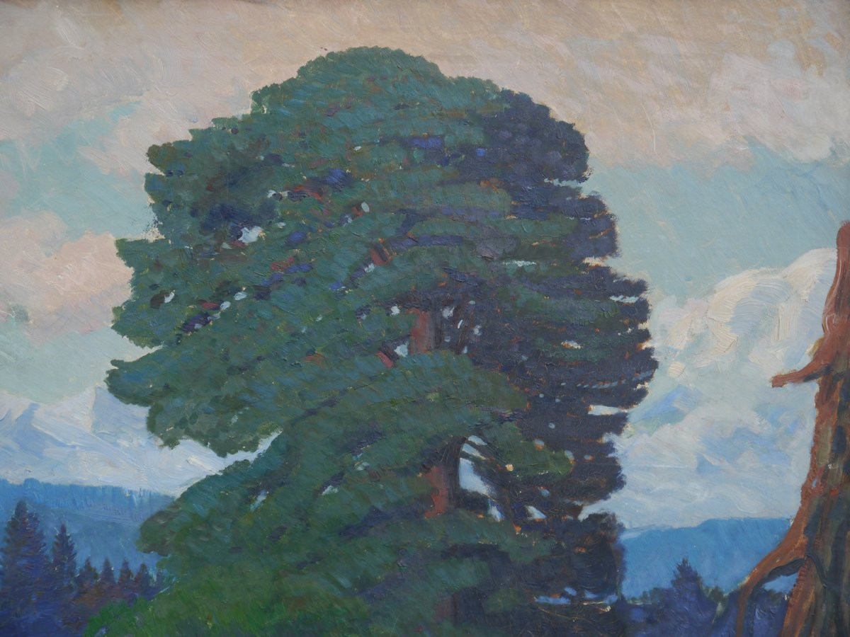 Arbre dans un paysage montagneux.Paul SCHWEIZER (1877-1945),Suisse,Bavière ?-photo-4