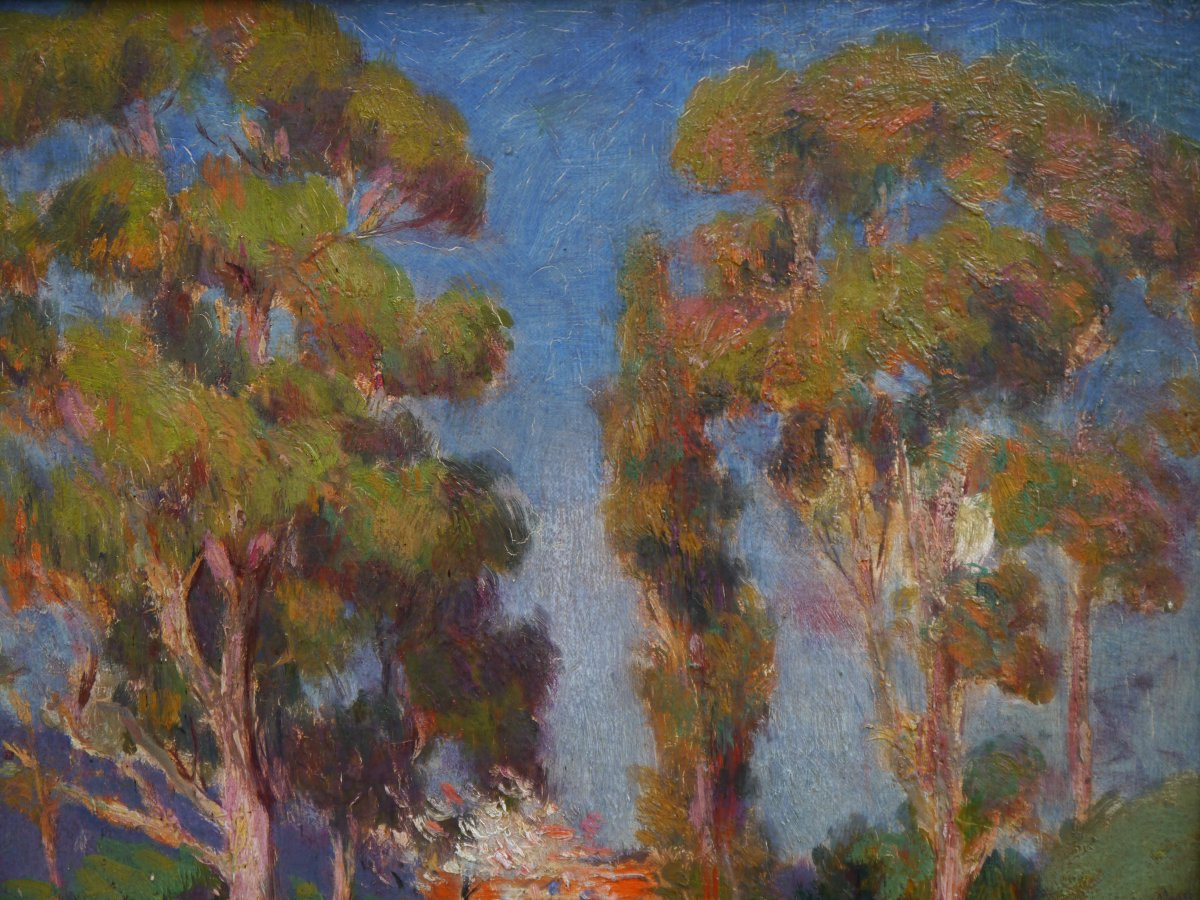 Landscape With Tall Trees, Provence, French Riviera. Joseph-victor Roux-champion (1871-1953). -photo-3