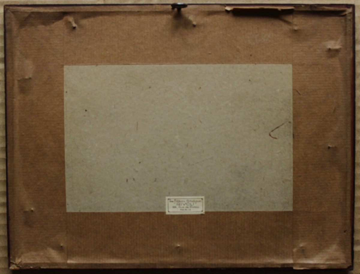 Chien de chasse pointer portrait en profil XIXè-photo-1