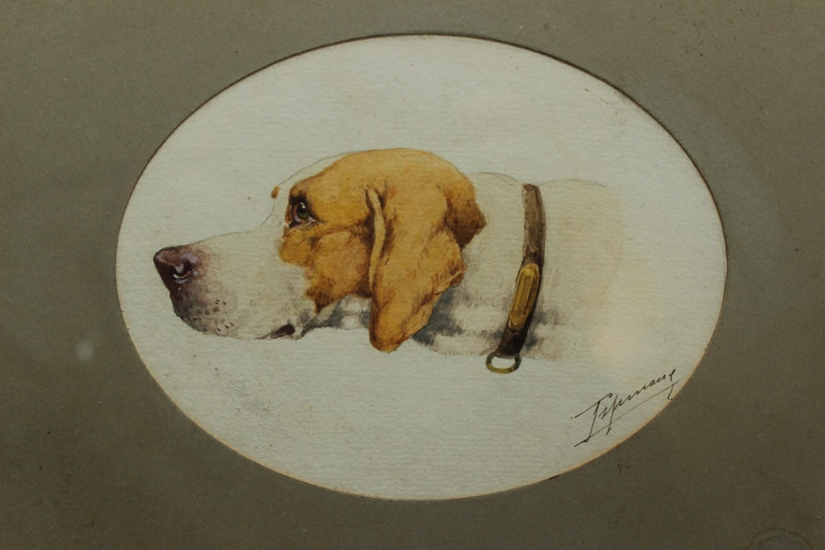 Chien de chasse pointer portrait en profil XIXè