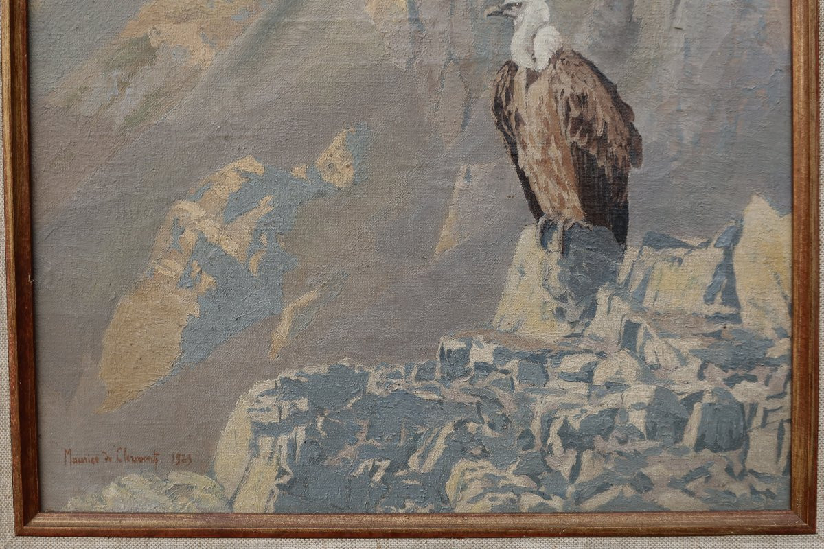 Vulture In The Atlas Mountains, Morocco. M. De Clermont 20th-photo-4