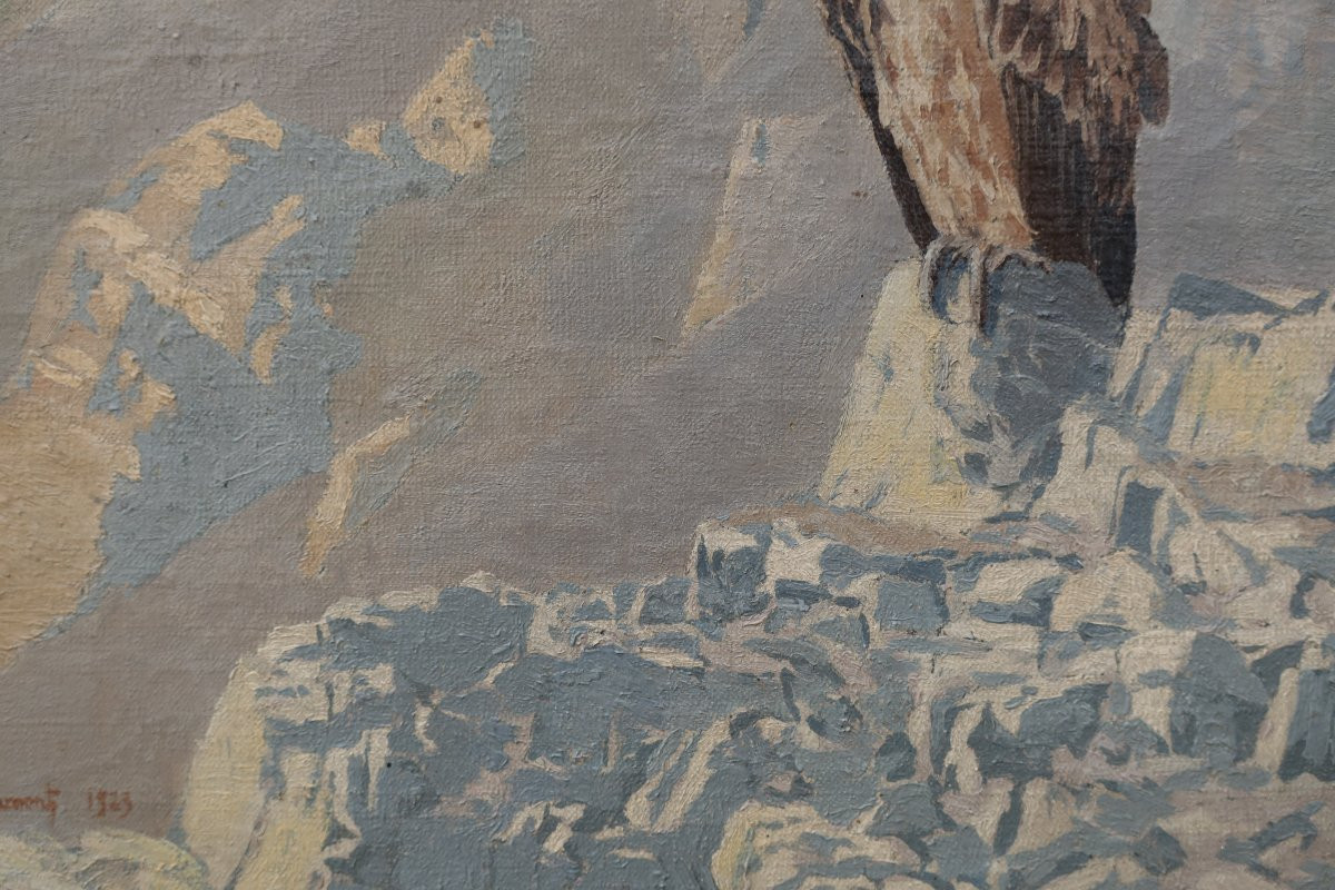 Vulture In The Atlas Mountains, Morocco. M. De Clermont 20th-photo-5