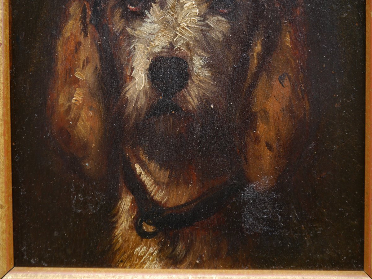 Portrait Of A Vendée Griffon Dog. Jules Chardigny (1842-1892)-photo-2