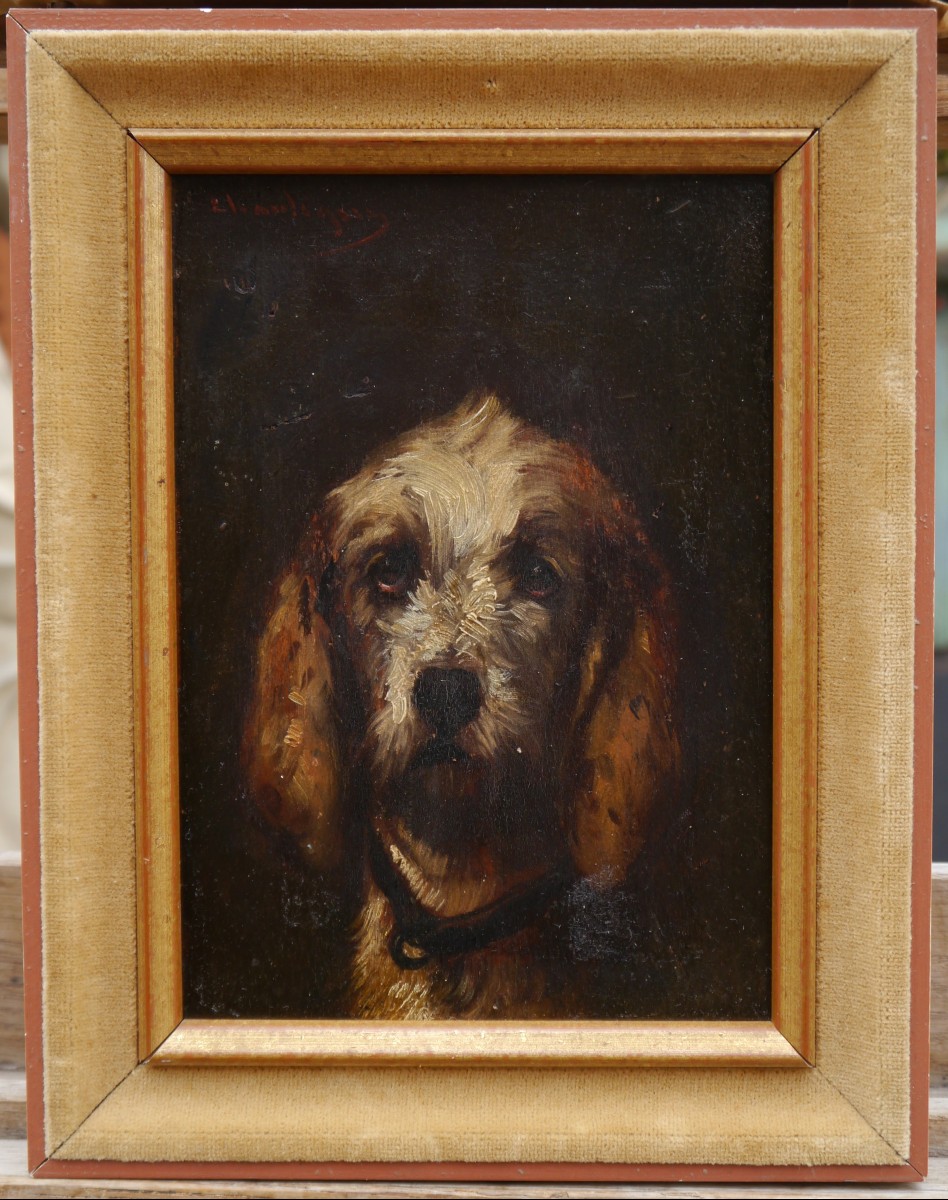 Portrait Of A Vendée Griffon Dog. Jules Chardigny (1842-1892)