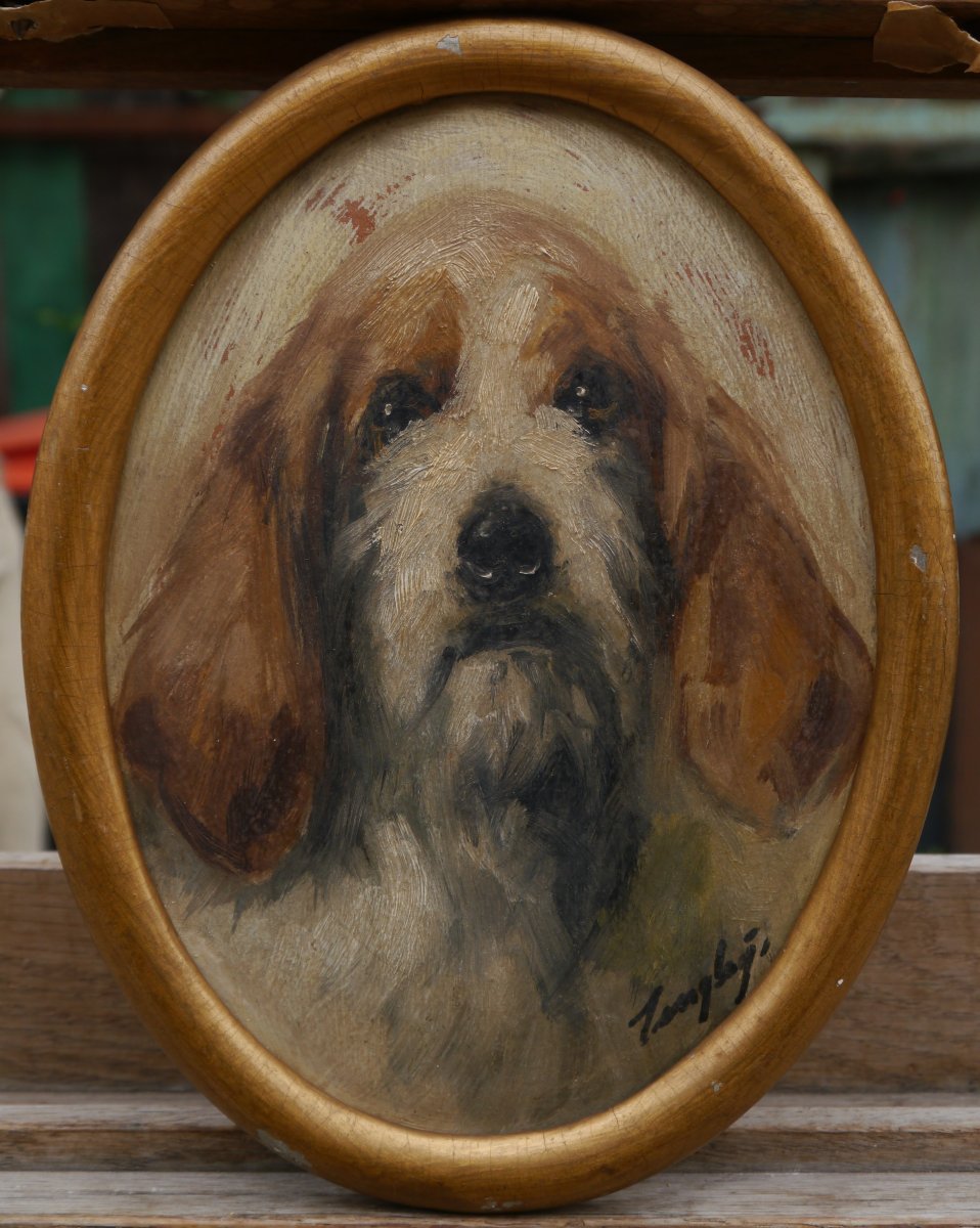 Portrait de chien griffon. italien ? signé, fin XIXè-photo-2