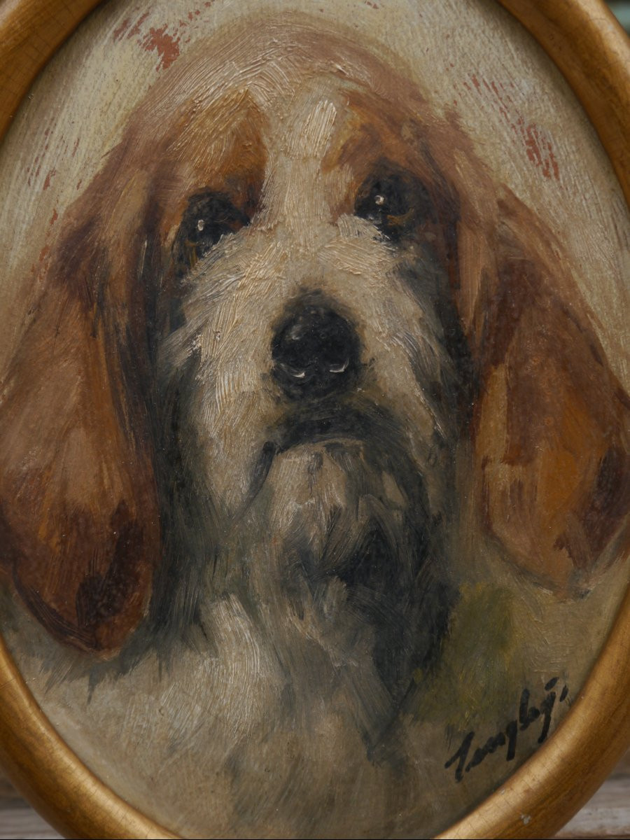 Portrait de chien griffon. italien ? signé, fin XIXè-photo-3