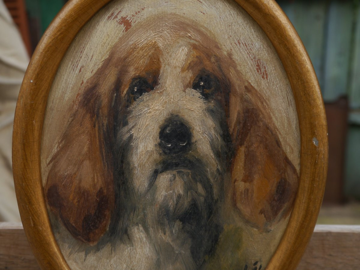 Portrait de chien griffon. italien ? signé, fin XIXè-photo-4