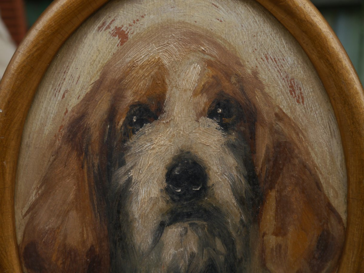 Portrait de chien griffon. italien ? signé, fin XIXè-photo-1