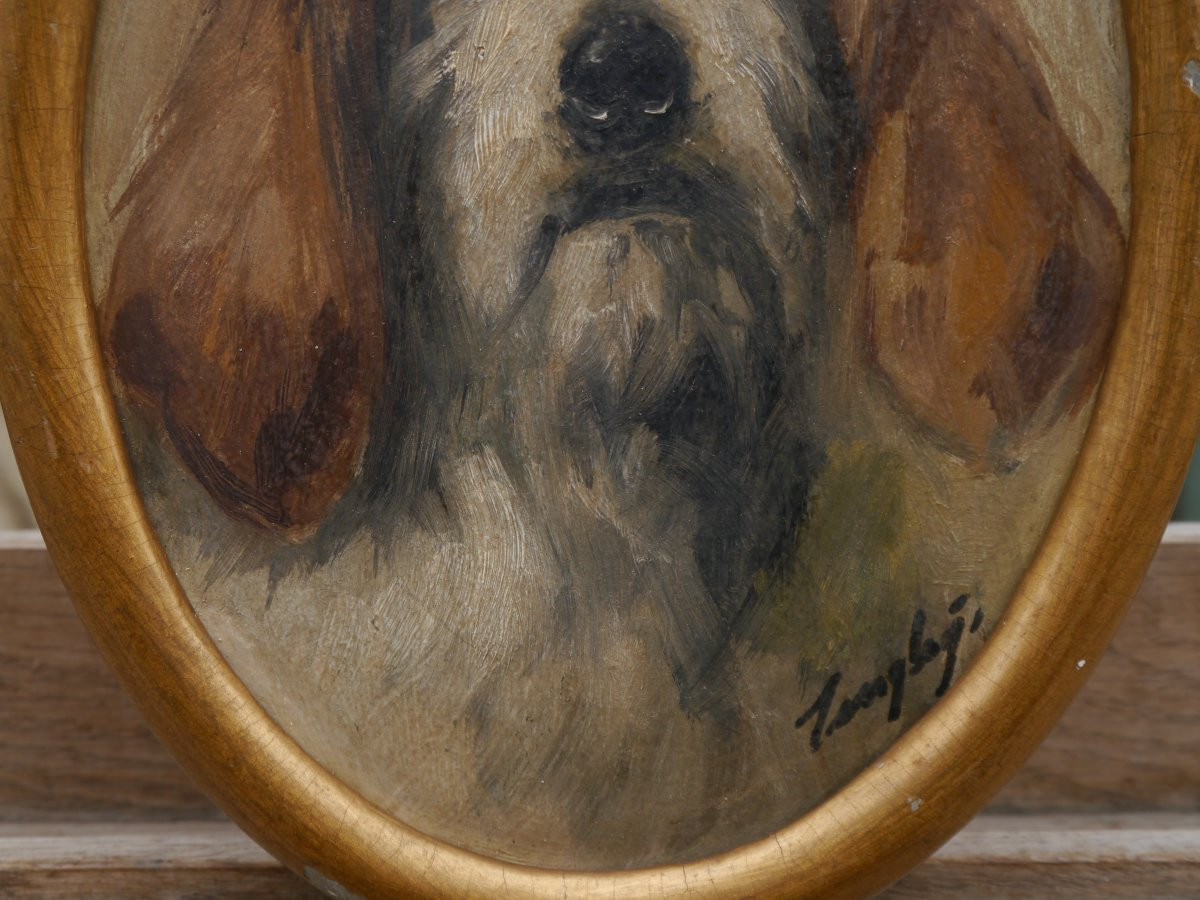 Portrait de chien griffon. italien ? signé, fin XIXè-photo-2