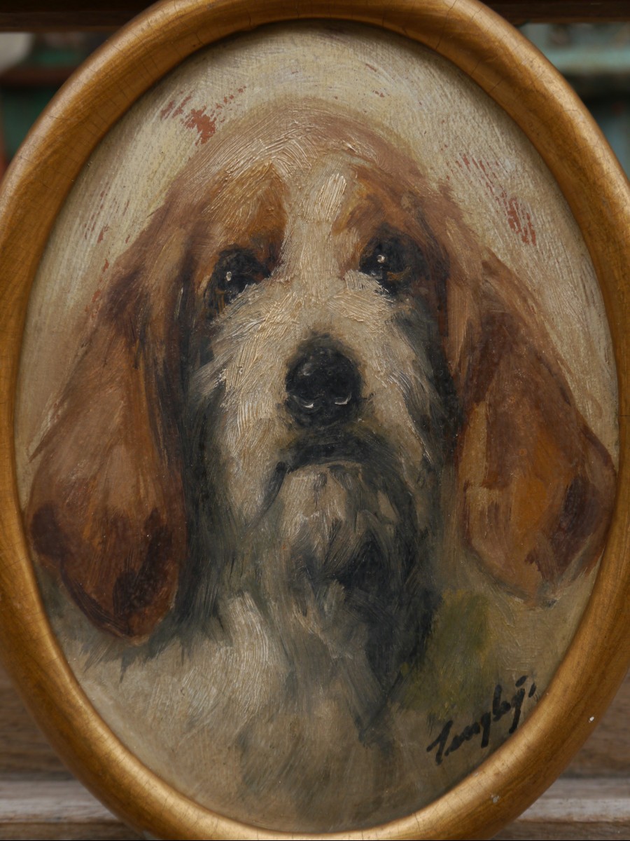 Portrait de chien griffon. italien ? signé, fin XIXè