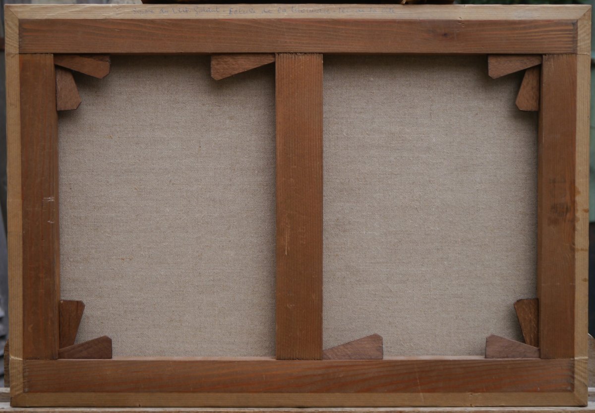 Paris, le square du Vert-Galant. Ecole française fin XIXè-photo-8