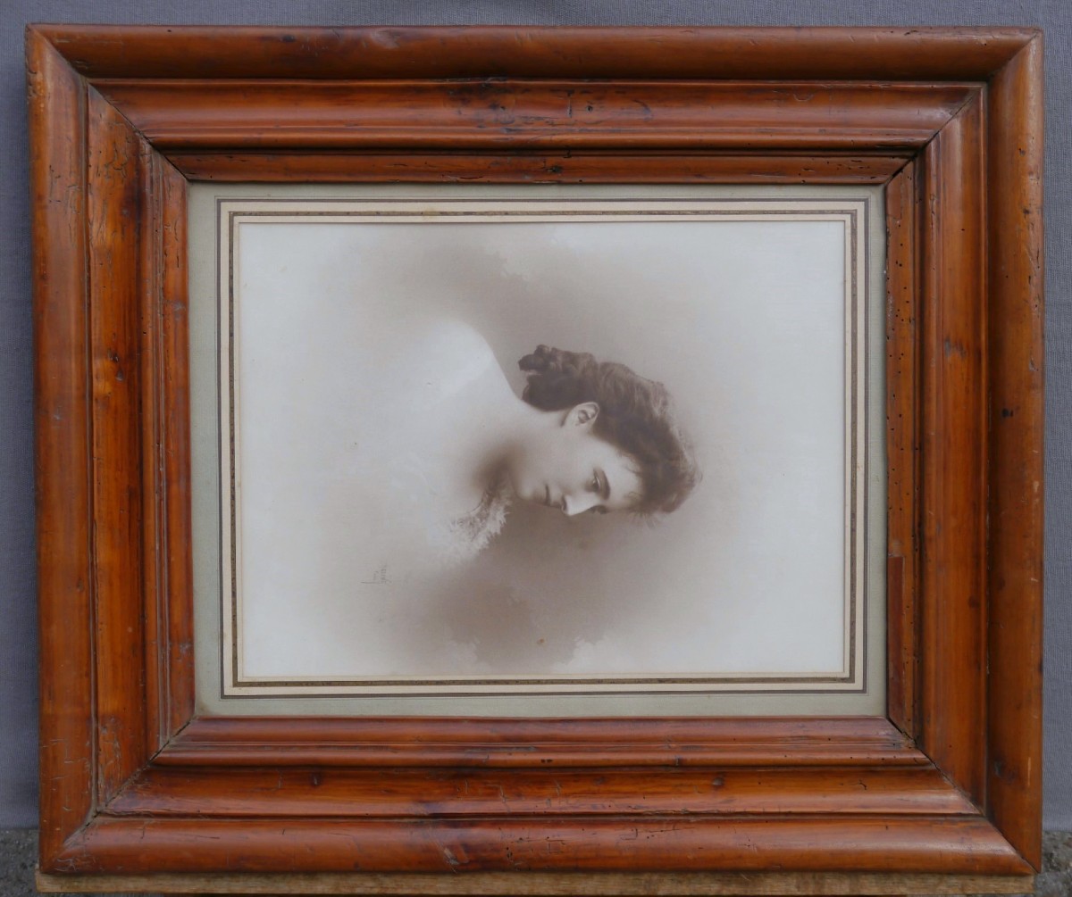 Cadre bois fruitié 19è, vue 42,5x32,6 cm-photo-2