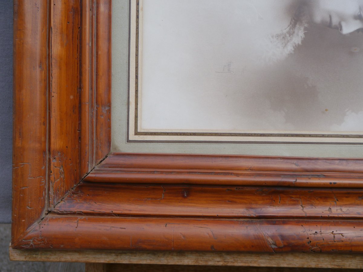 Cadre bois fruitié 19è, vue 42,5x32,6 cm-photo-3