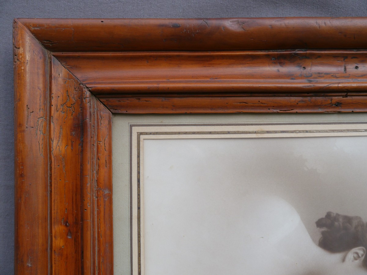 Cadre bois fruitié 19è, vue 42,5x32,6 cm-photo-4