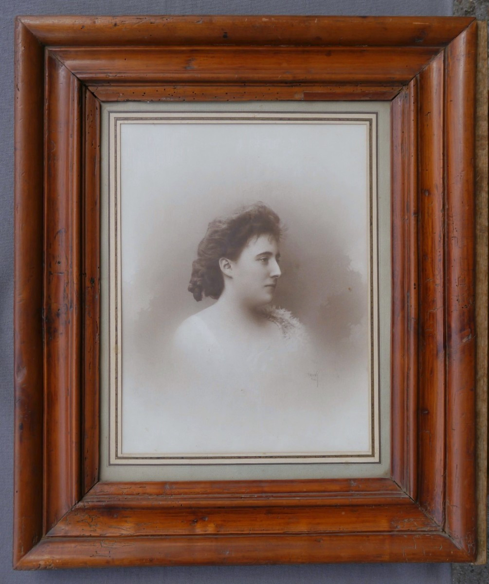 Cadre bois fruitié 19è, vue 42,5x32,6 cm