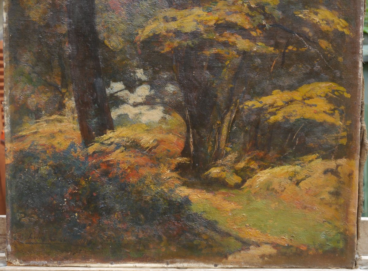 Louis Alexandre Cabié (1853-1939). Trees, Circa 1910/20-photo-3