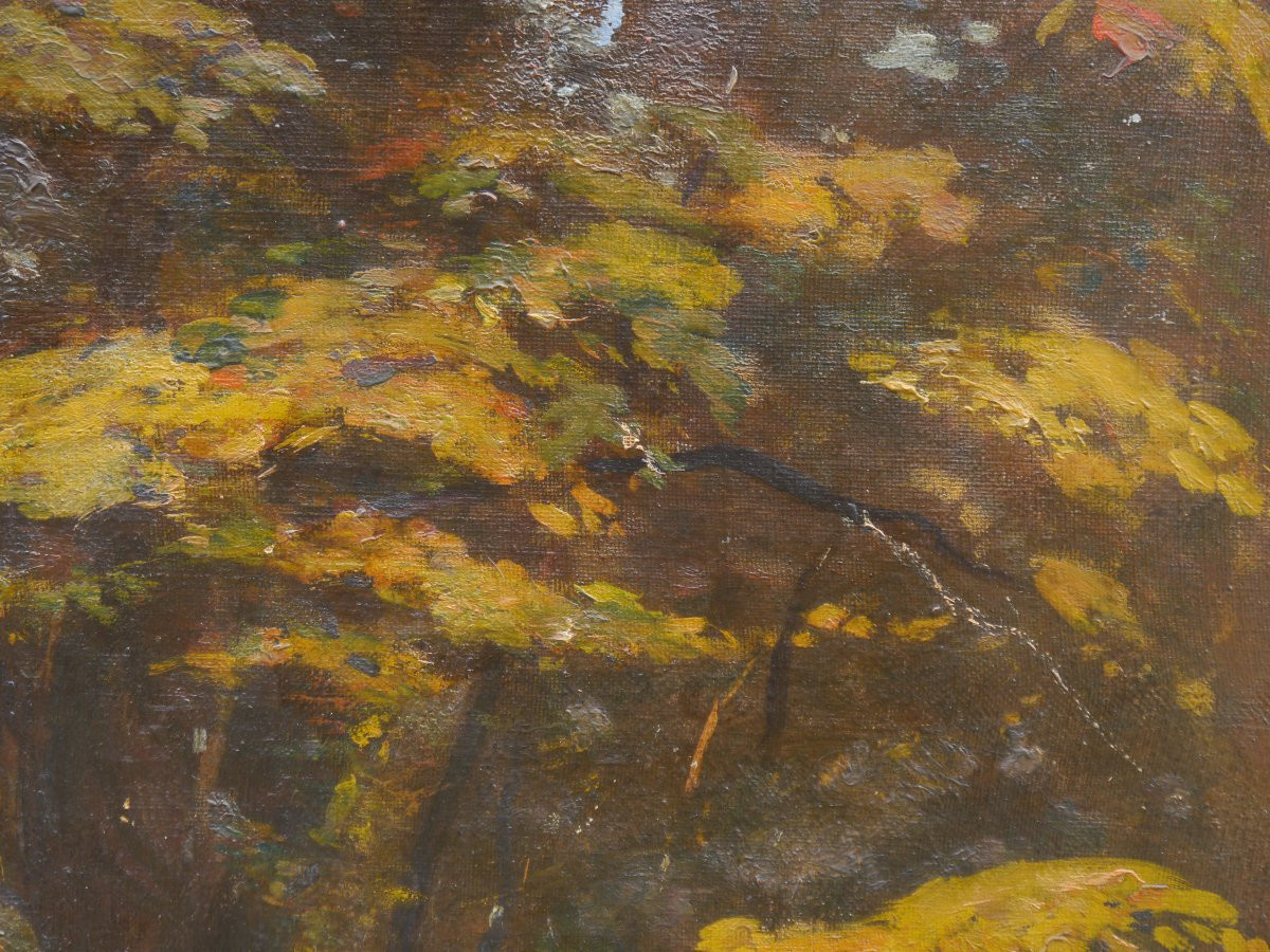 Louis Alexandre Cabié (1853-1939). Trees, Circa 1910/20-photo-2