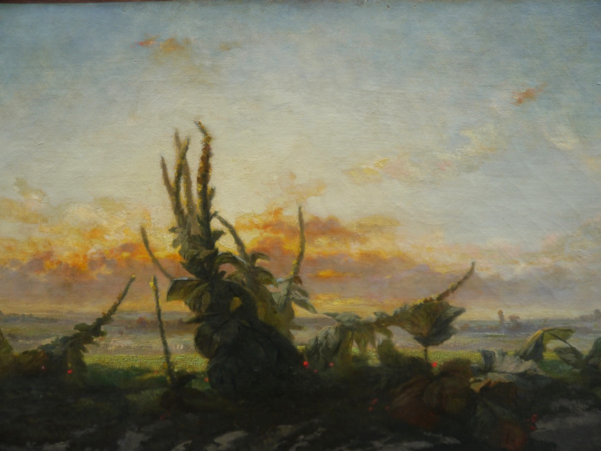 Paysage crépusculaire, chien, bouillon blanc, 1856. Julien GIRARDIN (1824-1896)-photo-3