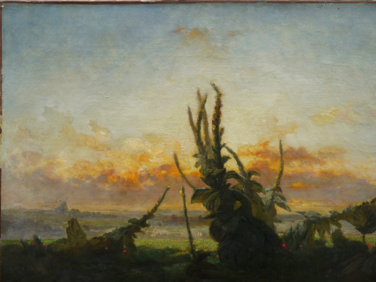 Paysage crépusculaire, chien, bouillon blanc, 1856. Julien GIRARDIN (1824-1896)-photo-1