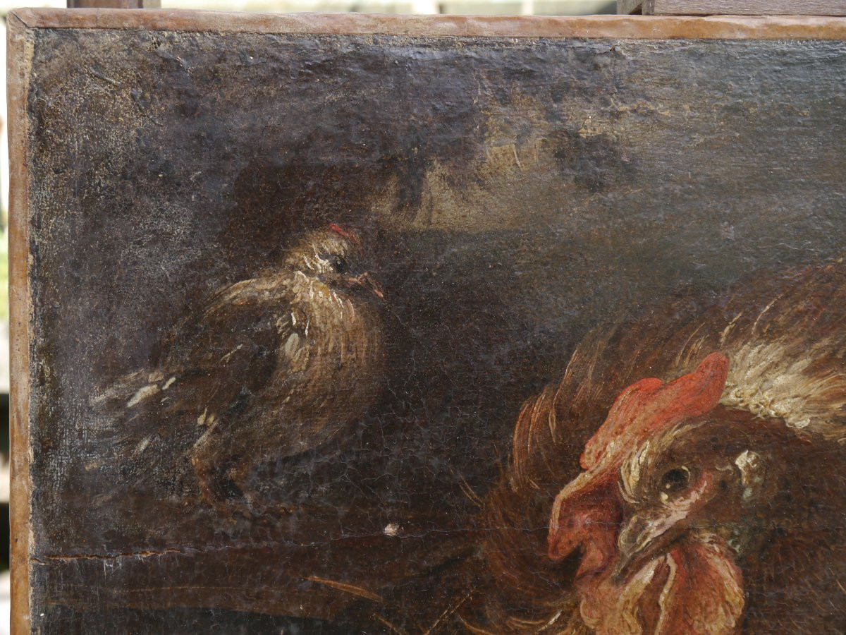 Poule et oiseau sur fond de paysage Ecole flamande ou italie XVIIè siècle-photo-3