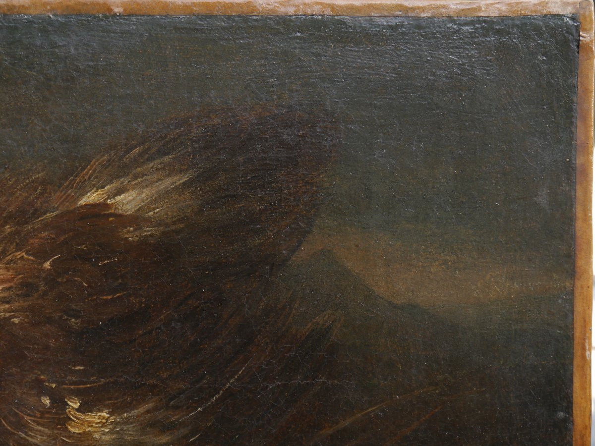 Poule et oiseau sur fond de paysage Ecole flamande ou italie XVIIè siècle-photo-4