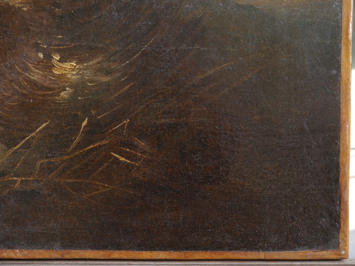 Poule et oiseau sur fond de paysage Ecole flamande ou italie XVIIè siècle-photo-1