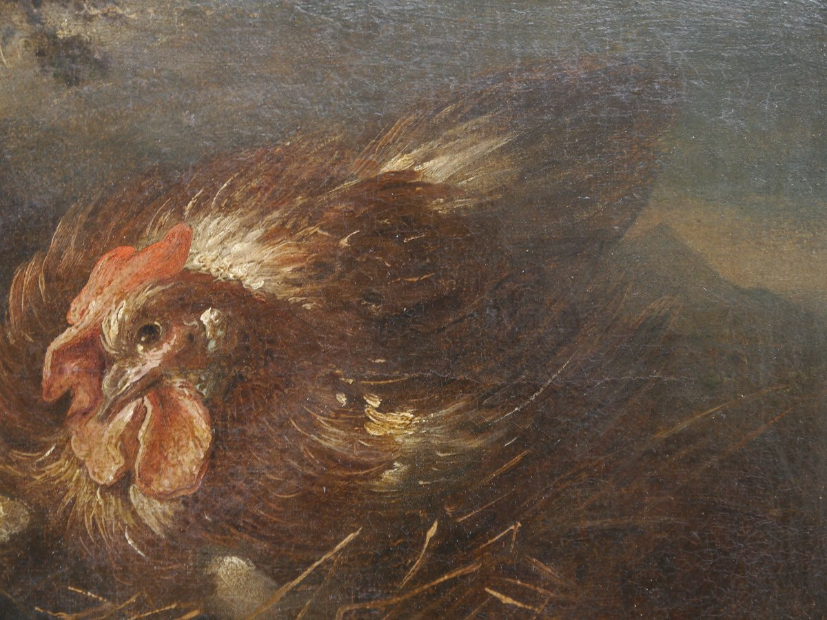 Poule et oiseau sur fond de paysage Ecole flamande ou italie XVIIè siècle-photo-5