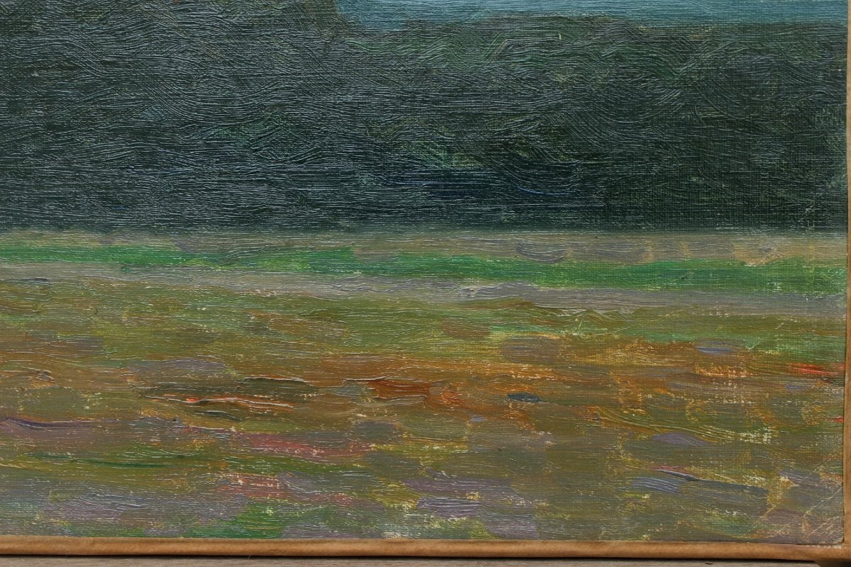 Raymond Thibésart (1874-1968). Landscape Study, Early 20th Century - Dawn Or Dusk-photo-4