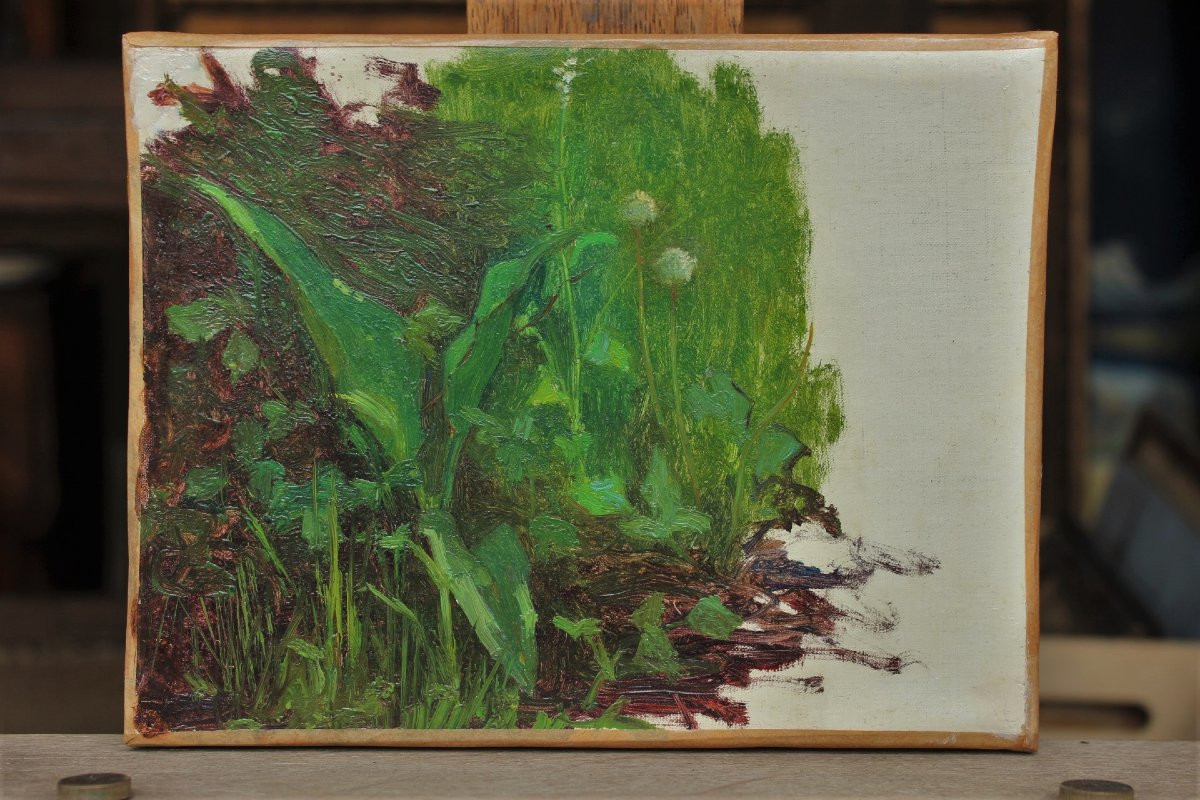 Raymond Thibésart (1874-1968). Vegetation Study-photo-2