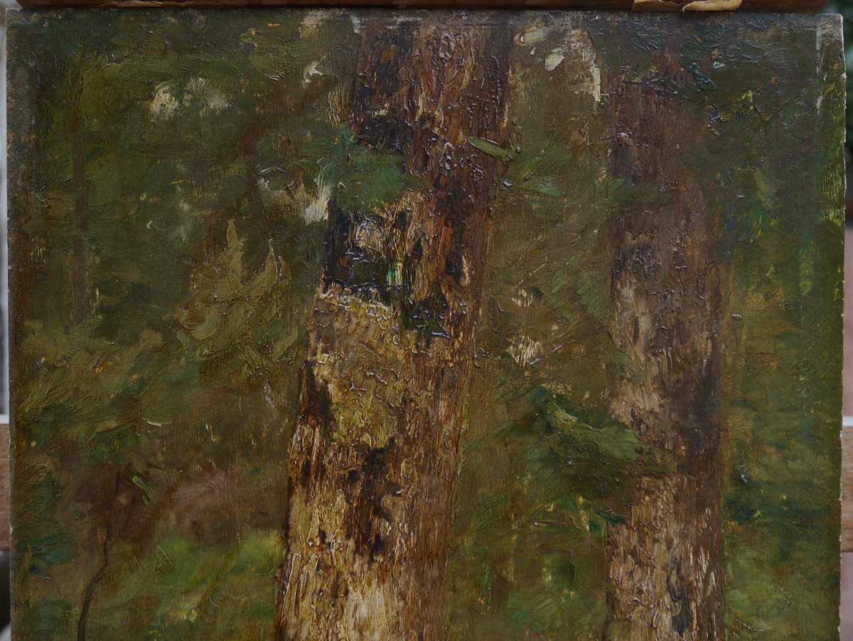 Trees, Undergrowth And A Figure. Paul Sebilleau (1847-1907)-photo-3