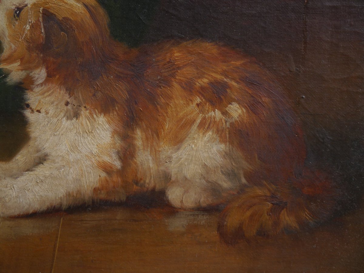 Alfred Arthur BRUNEL DE NEUVILLE (1852-1941). Trois chatons et la balle-photo-6