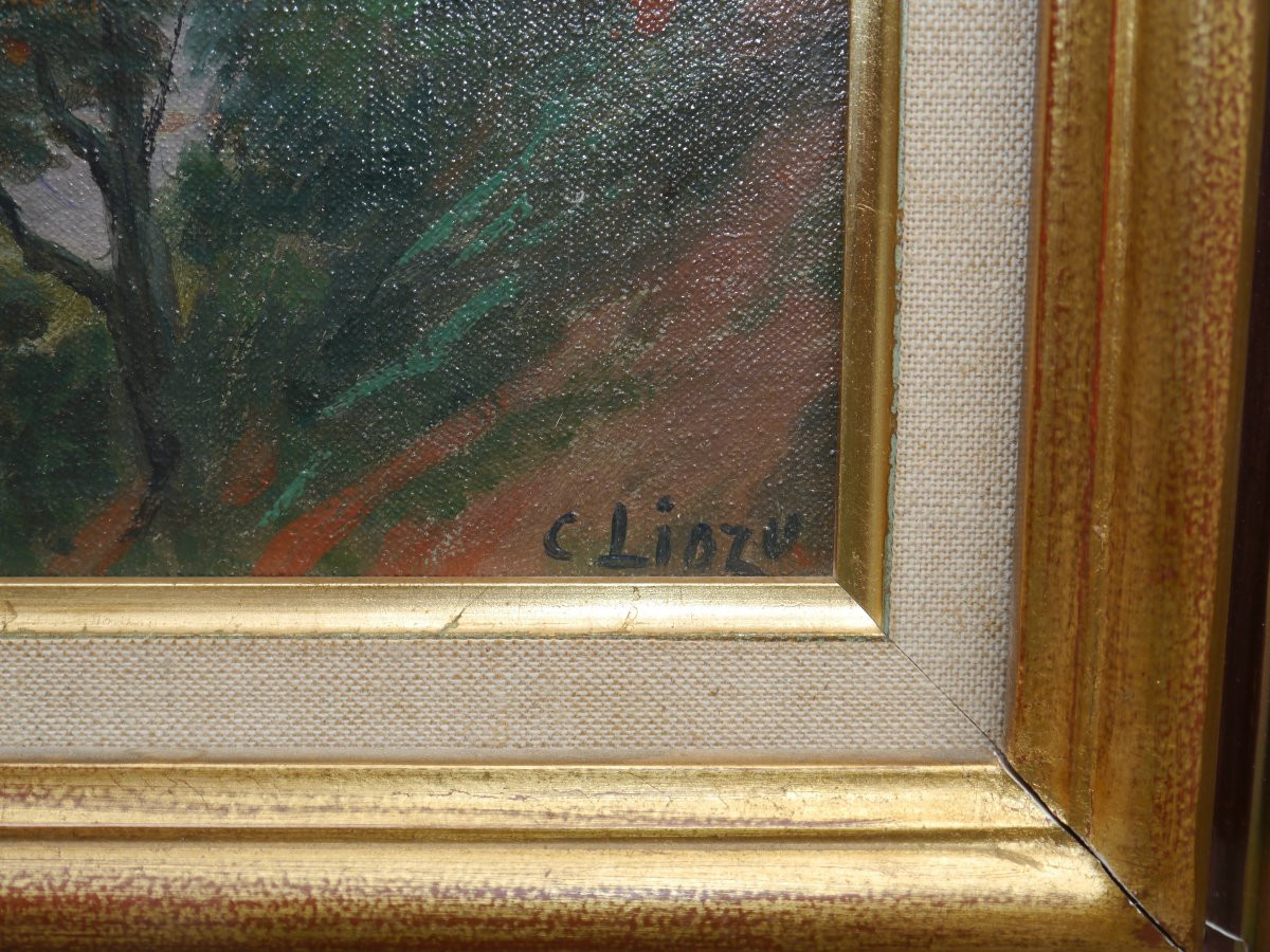Charles LIOZU (1866-1948), Vue d'Albi avec un train vapeur-photo-7