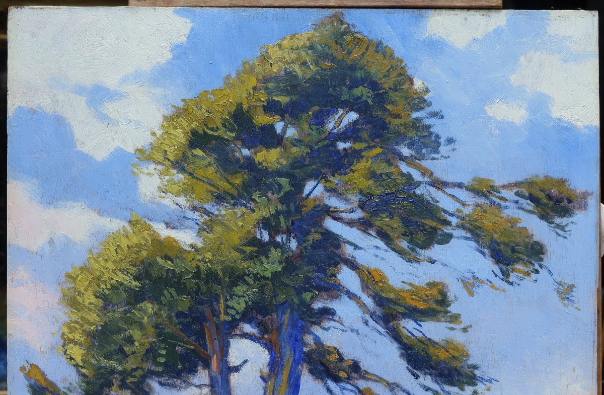 Seascape, Large Tree By The Sea. J. Sourgen On The Back-photo-3