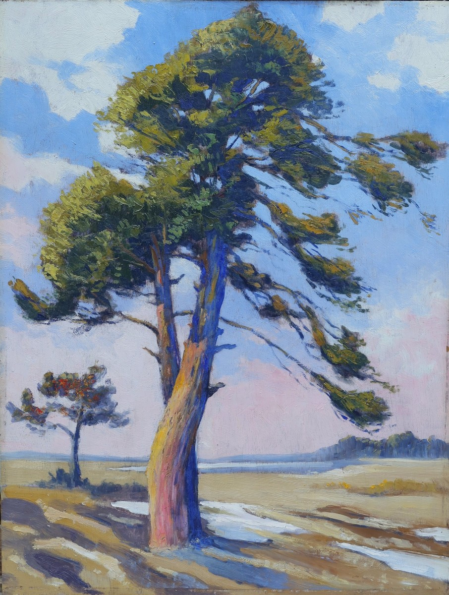 Seascape, Large Tree By The Sea. J. Sourgen On The Back