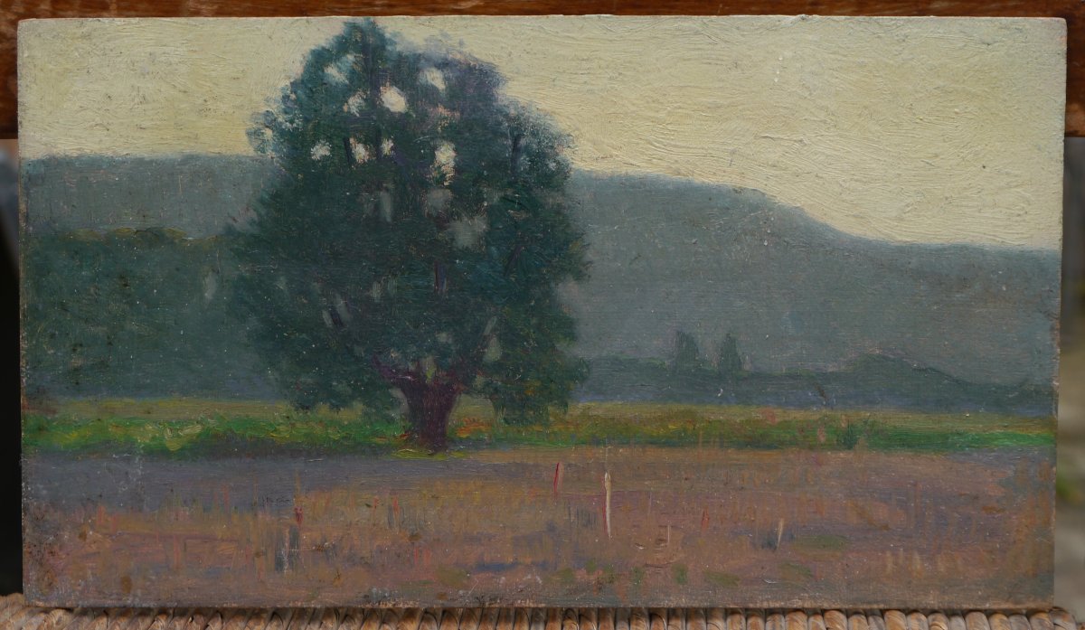 Arbre dans un paysage. Raymond Thibésart (1874-1968).-photo-2