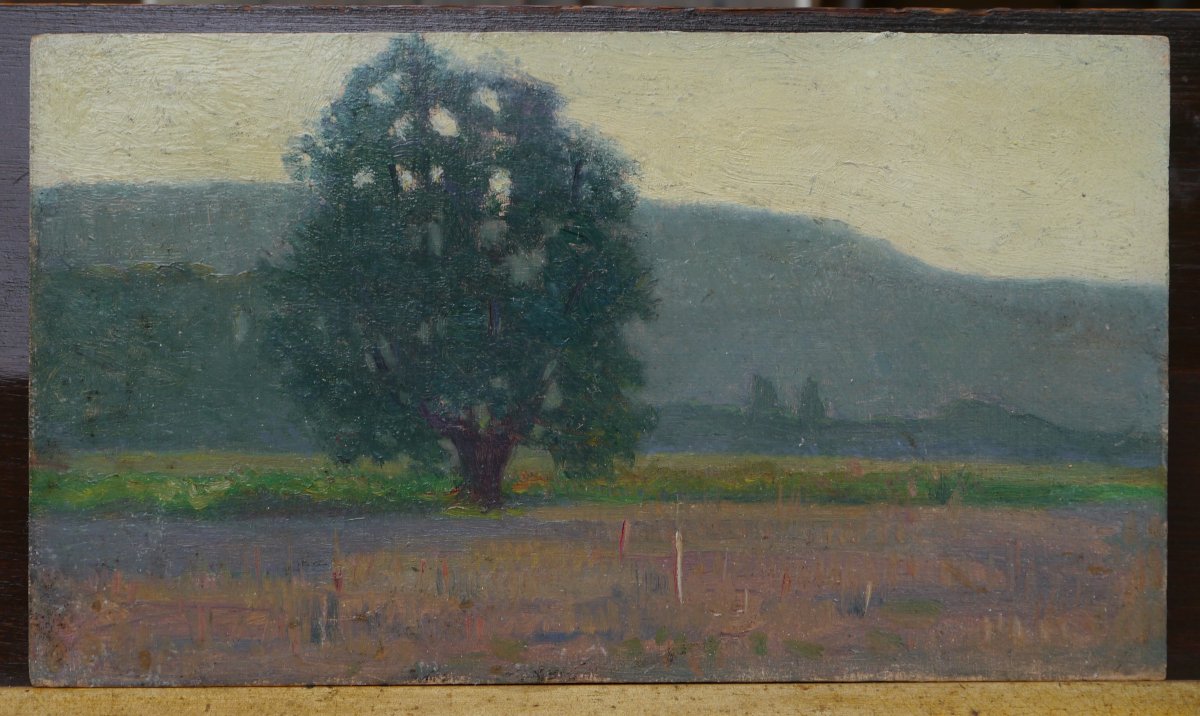 Arbre dans un paysage. Raymond Thibésart (1874-1968).-photo-3