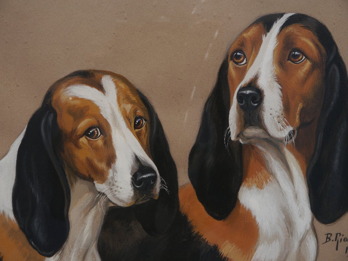 Couple de chiens de meute tricolore. Boris Rabouchinsky / RIAB (1898-1975)-photo-1