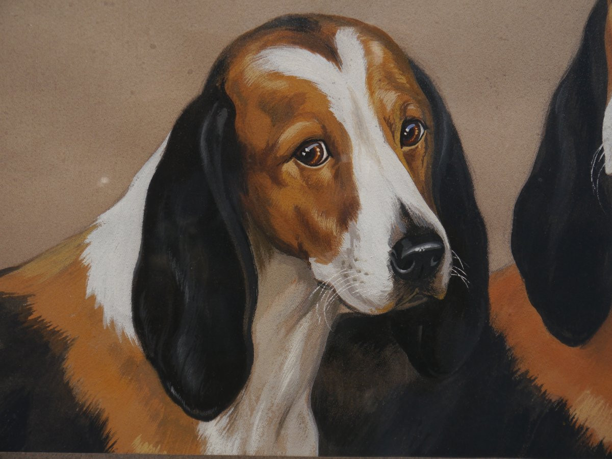 Couple de chiens de meute tricolore. Boris Rabouchinsky / RIAB (1898-1975)-photo-2