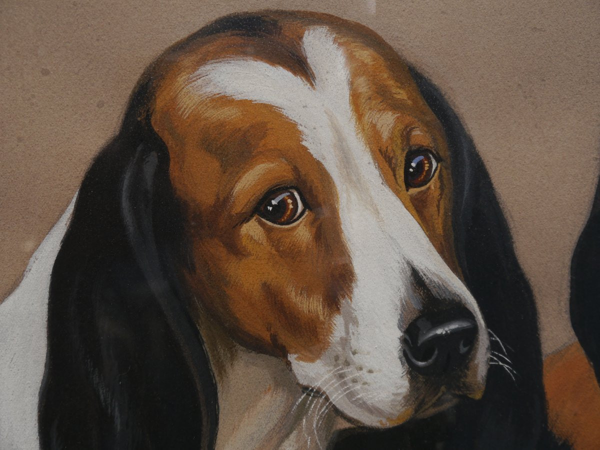 Couple de chiens de meute tricolore. Boris Rabouchinsky / RIAB (1898-1975)-photo-3