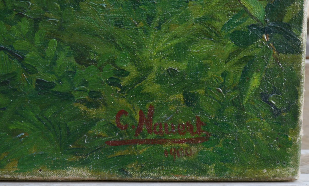 Jeune femme en Provence devant la rivière, 1900. Charles Nauert XIX-XXè-photo-7