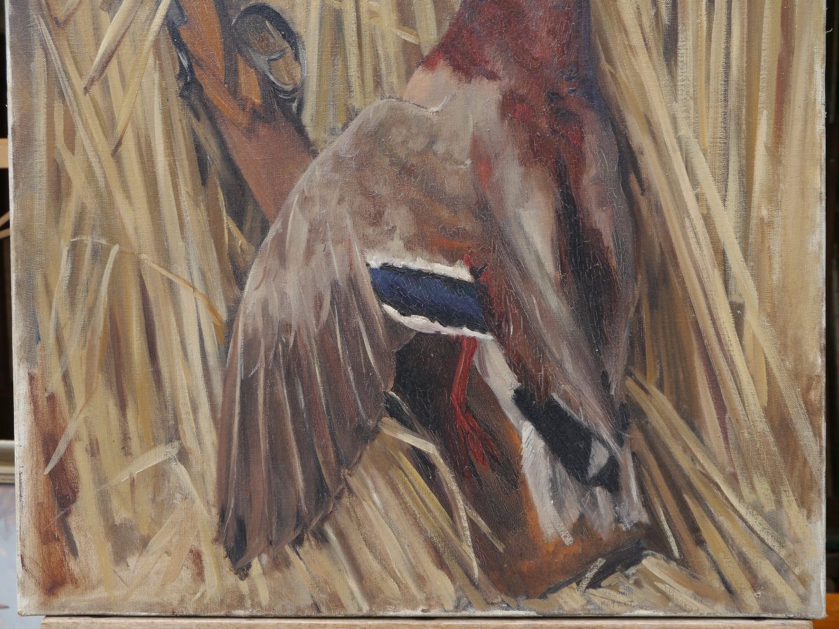 Trophée de chasse au canard colvert. Ecole début XXè-photo-4