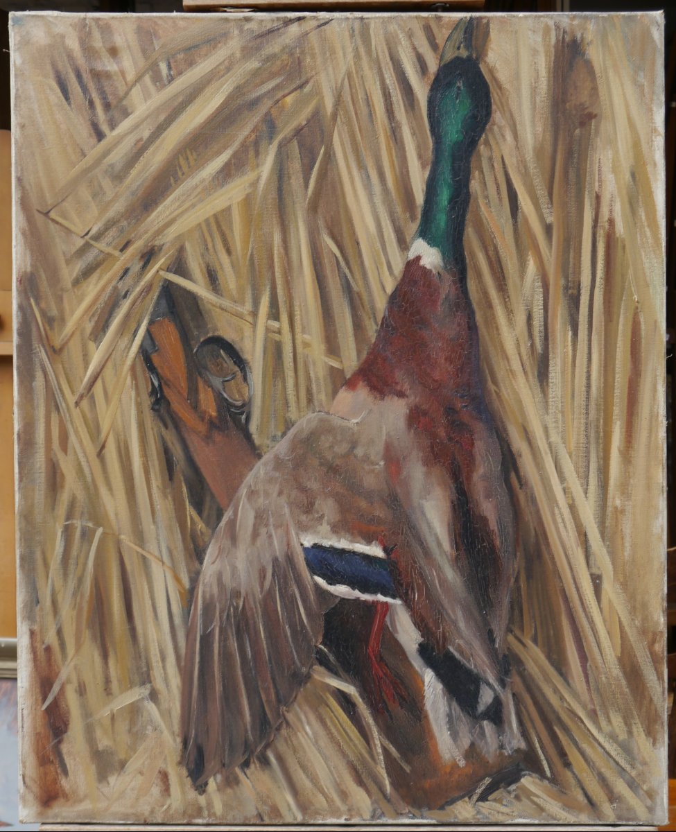 Trophée de chasse au canard colvert. Ecole début XXè
